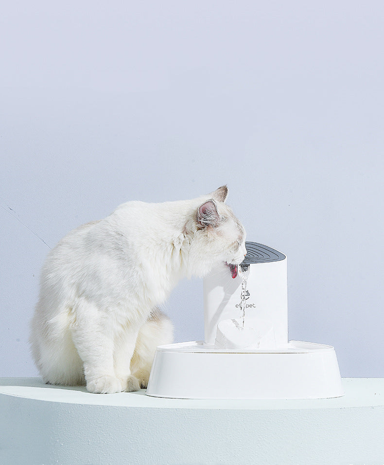 Fontaine à eau pour chat