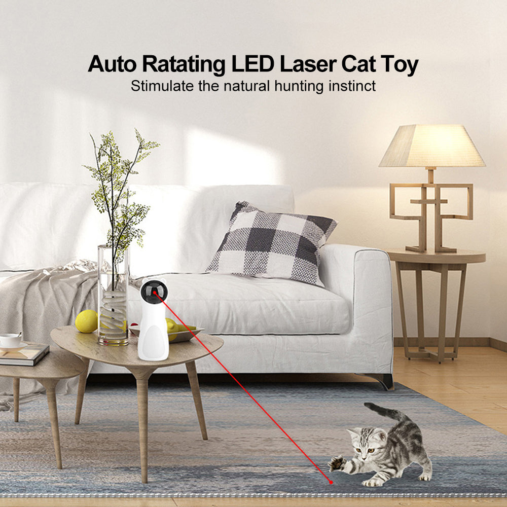 Laser pour chat