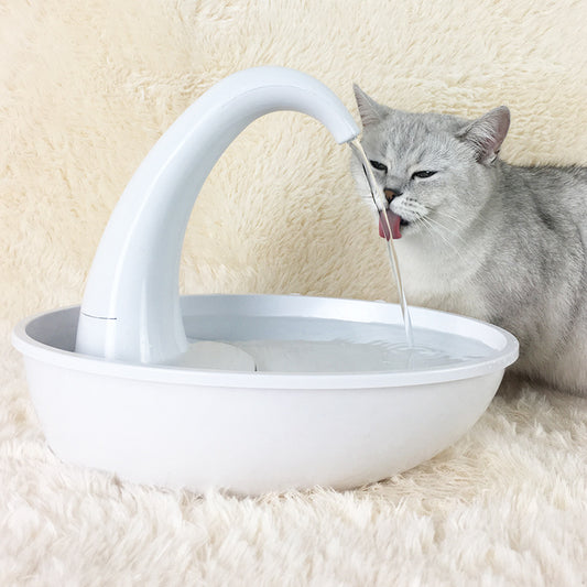 Fontaine à eau pour chat