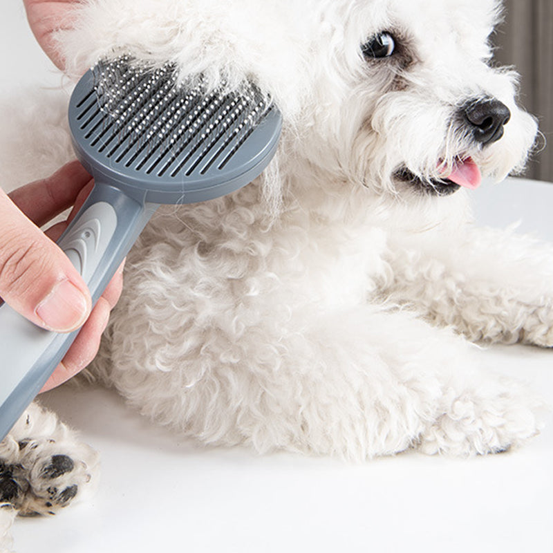 Brosse à poil pour chien