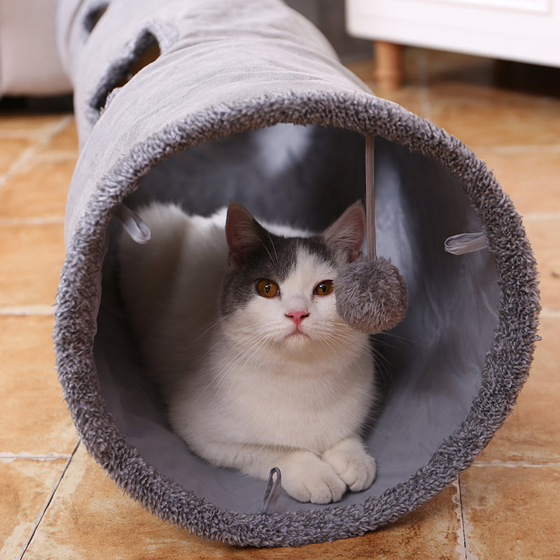 Tunnel pour Chats