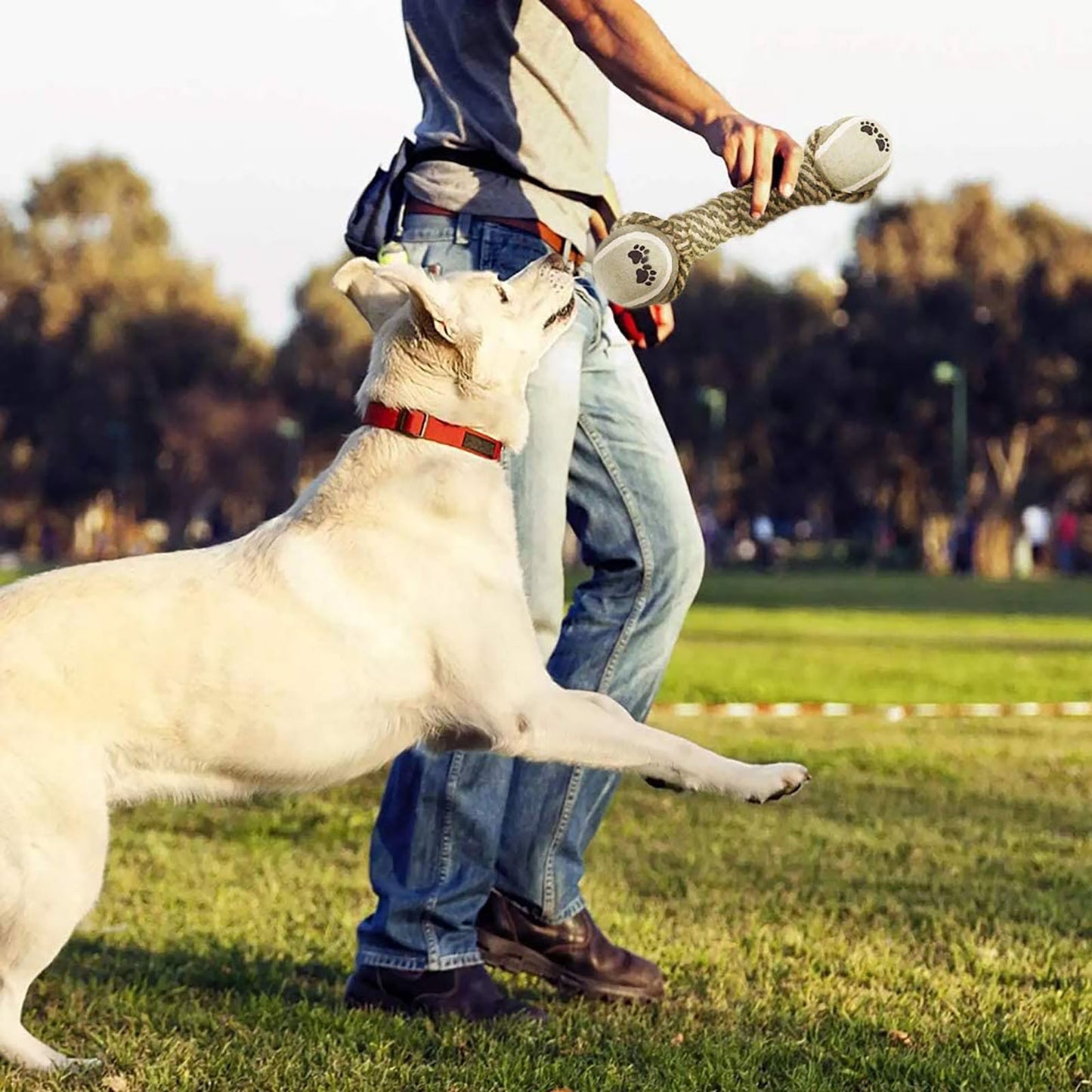 Jouet Corde en Coton pour Chien