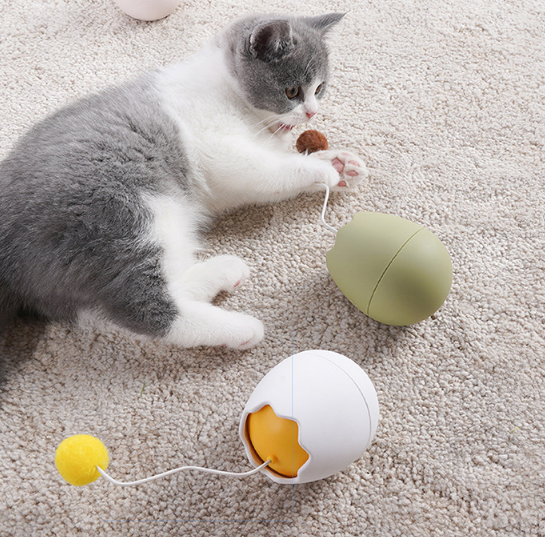 jouets pour chats