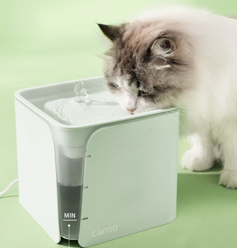 Distributeur d'eau automatique pour chats