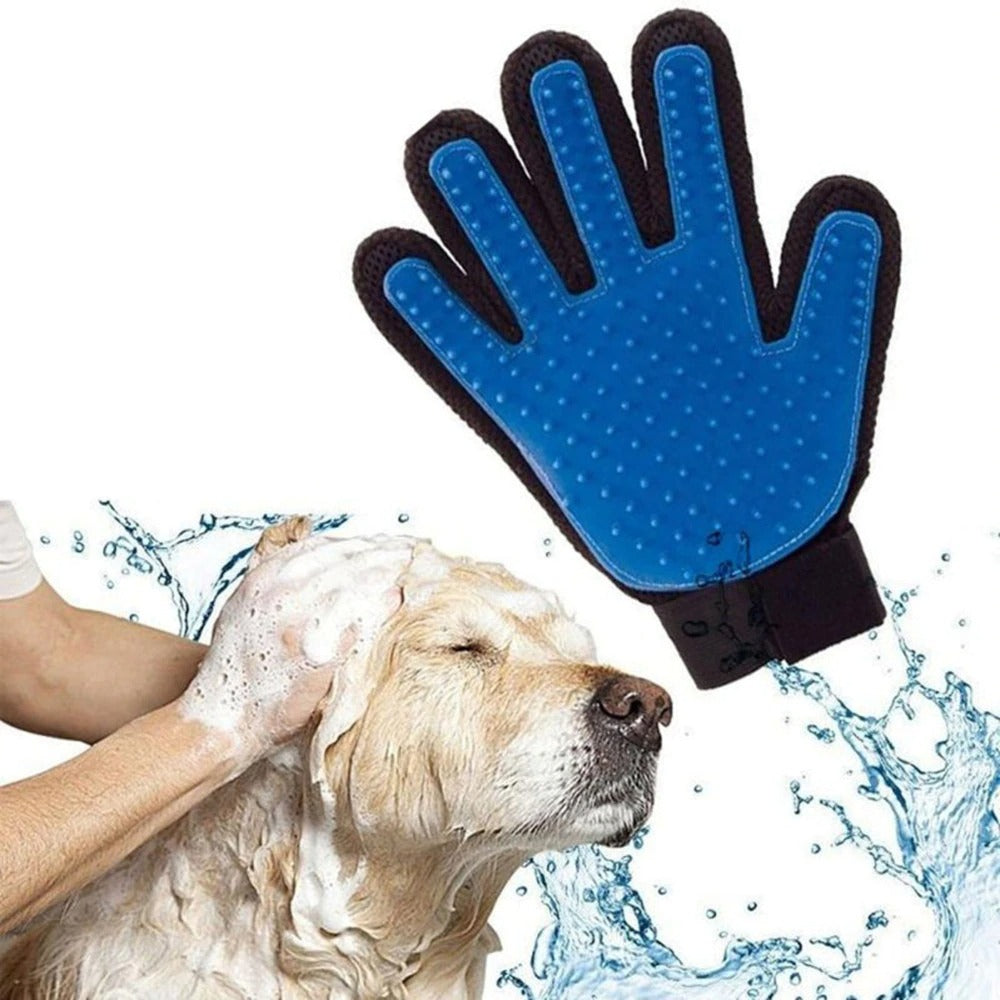 gant de toilettage pour chien