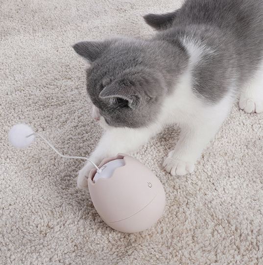 jouets pour chats