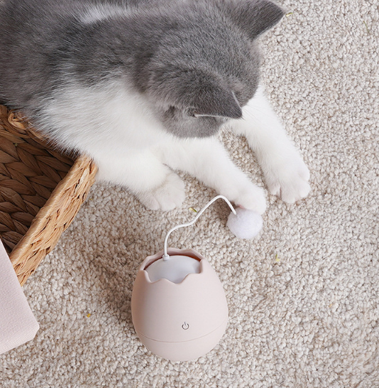 jouets pour chats