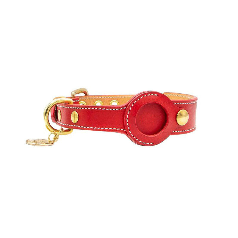 collier traceur pour chien