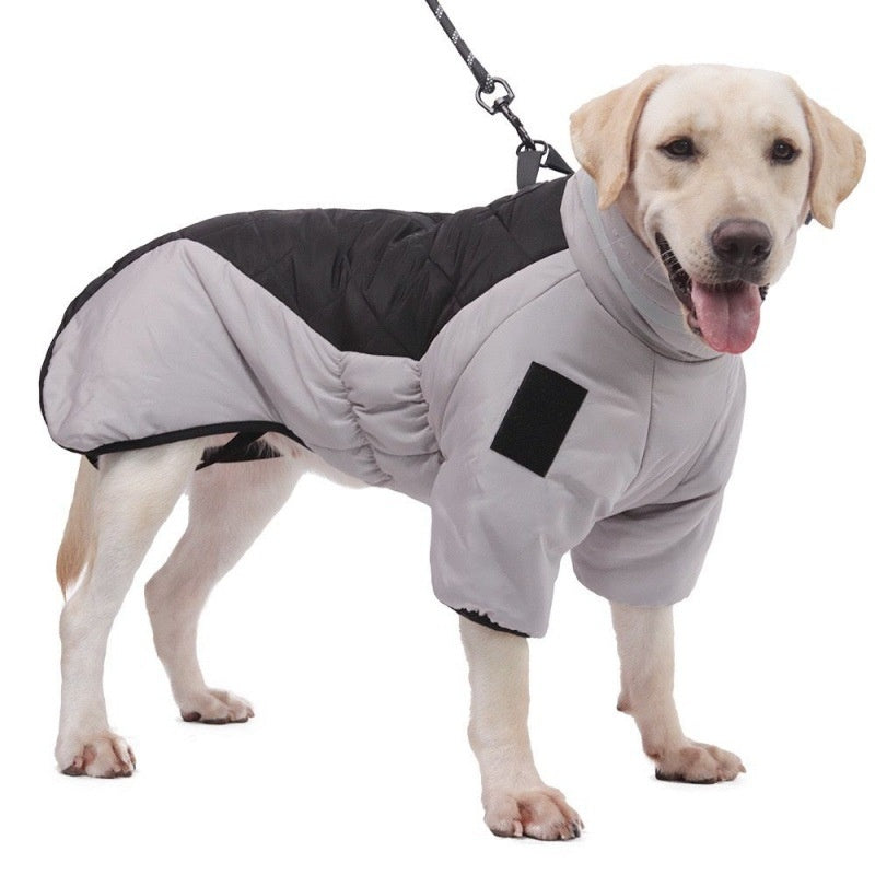 Vêtements pour chien