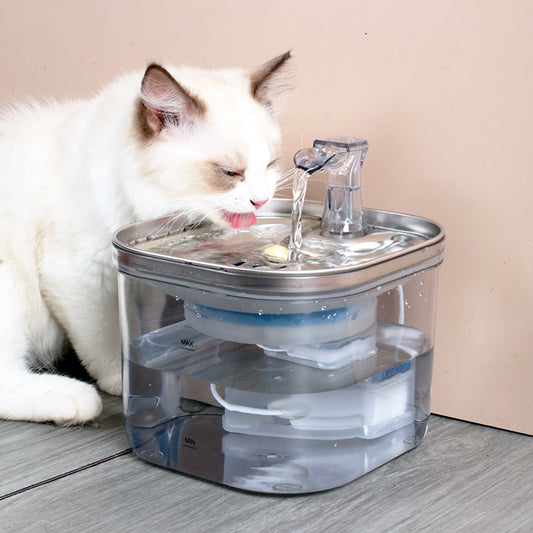 Distributeur d’eau pour chat