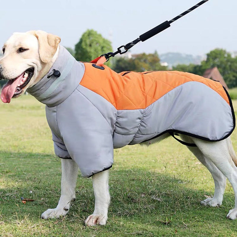 Vêtements pour chien