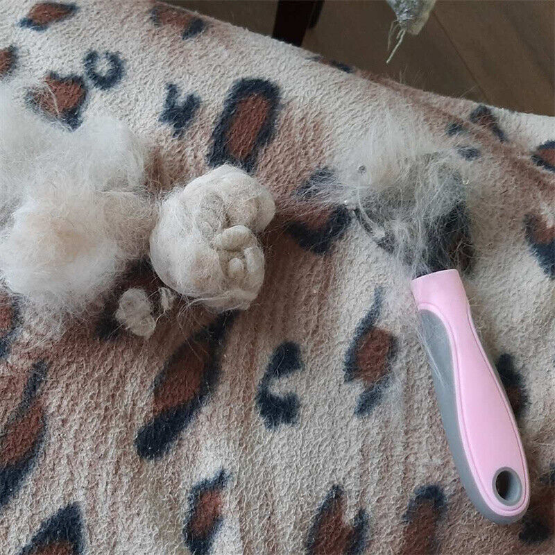 Brosse à poils