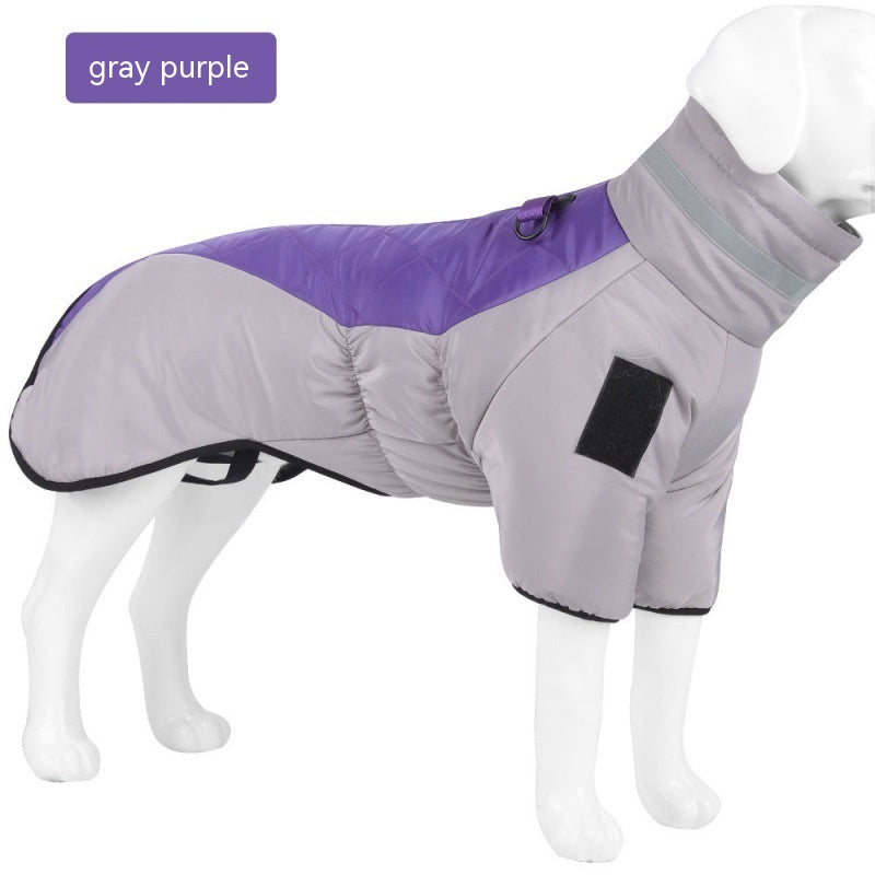 Vêtements pour chien