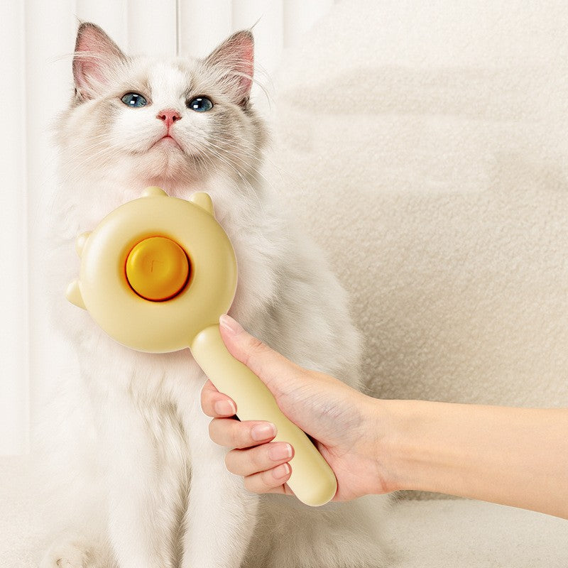 Brosse à chat