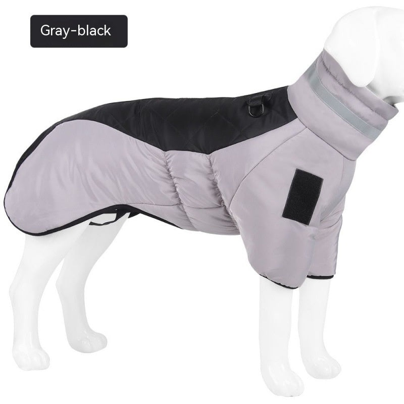 Vêtements pour chien