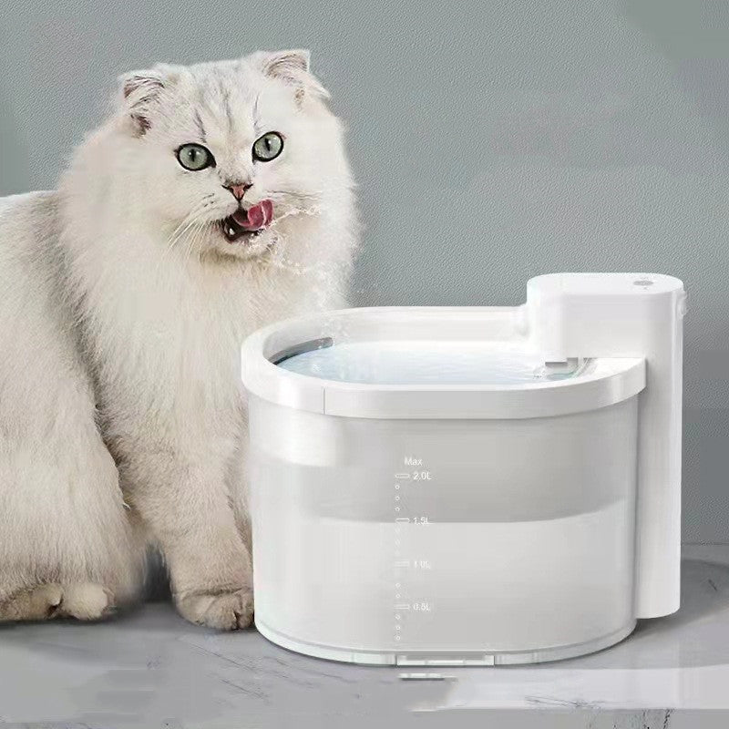 Fontaine à eau pour chat