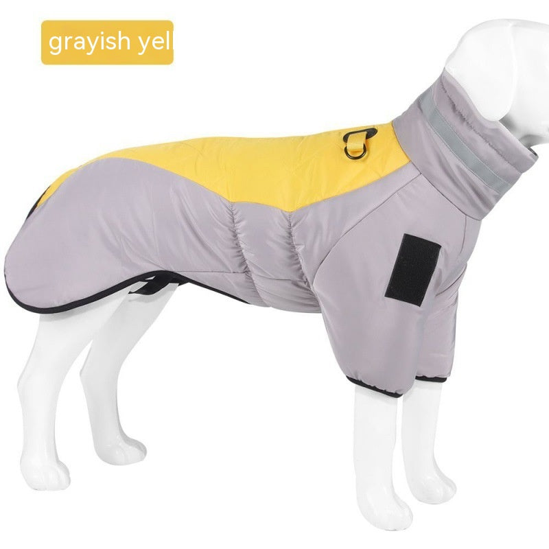 Vêtements pour chien